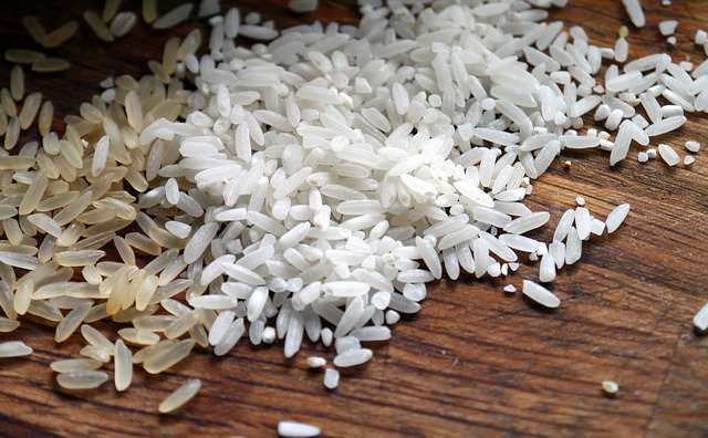 iPhone in Reis gelegt